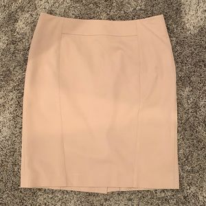 Ann Taylor Petite skirt